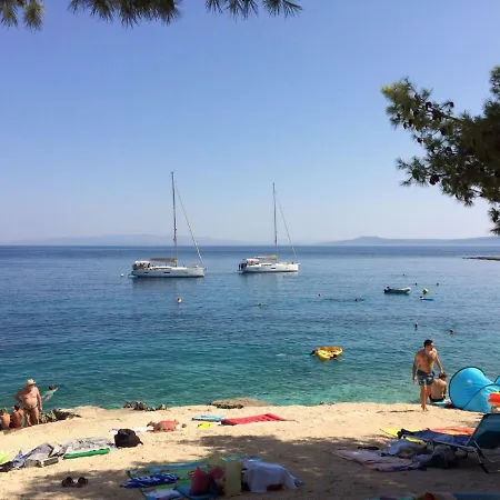 Teddy Bear Trogir