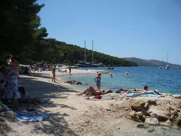 Teddy Bear Apartamento