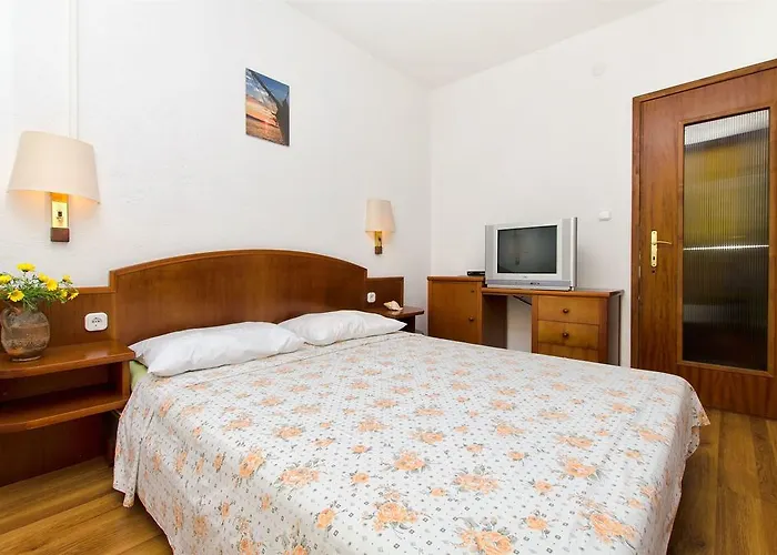 Teddy Bear Apartamento