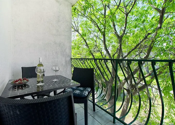 Teddy Bear Apartamento