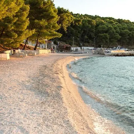 Apartment Teddy Bear *