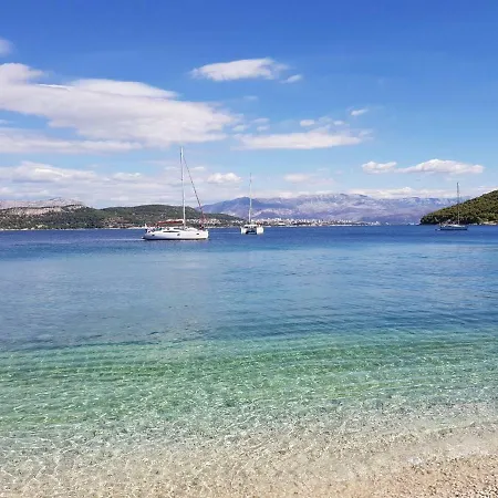 Apartment Teddy Bear