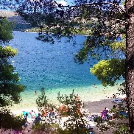 דירה Teddy Bear טרוגיר