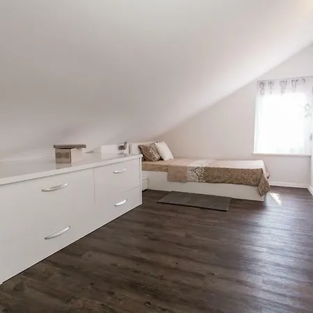 Teddy Bear * טרוגיר